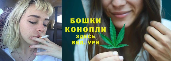 метадон Няндома