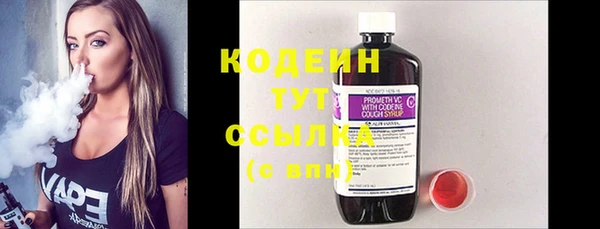 метадон Няндома