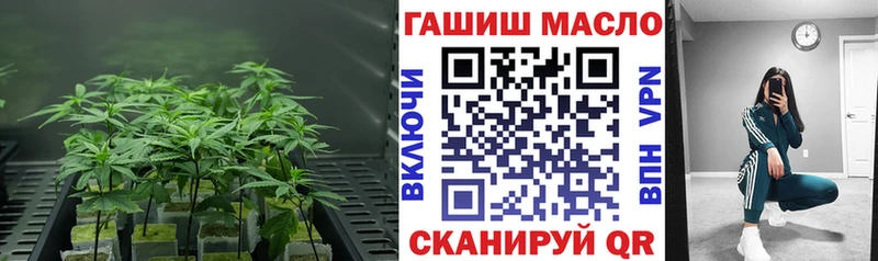 ТГК вейп  Миасс 