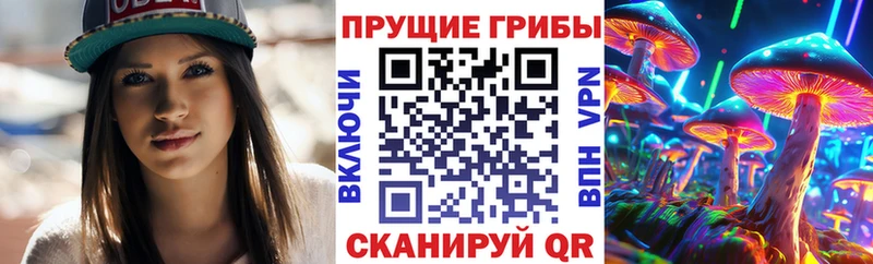 купить наркоту  Миасс  OMG вход  Псилоцибиновые грибы GOLDEN TEACHER 