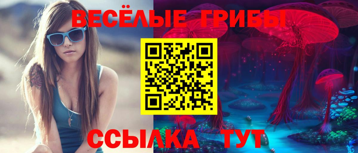 Псилоцибиновые грибы Cubensis Миасс